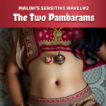 Malini's Sensitive Navel Vol 2 : Chapter 2 - The Two Pambarams